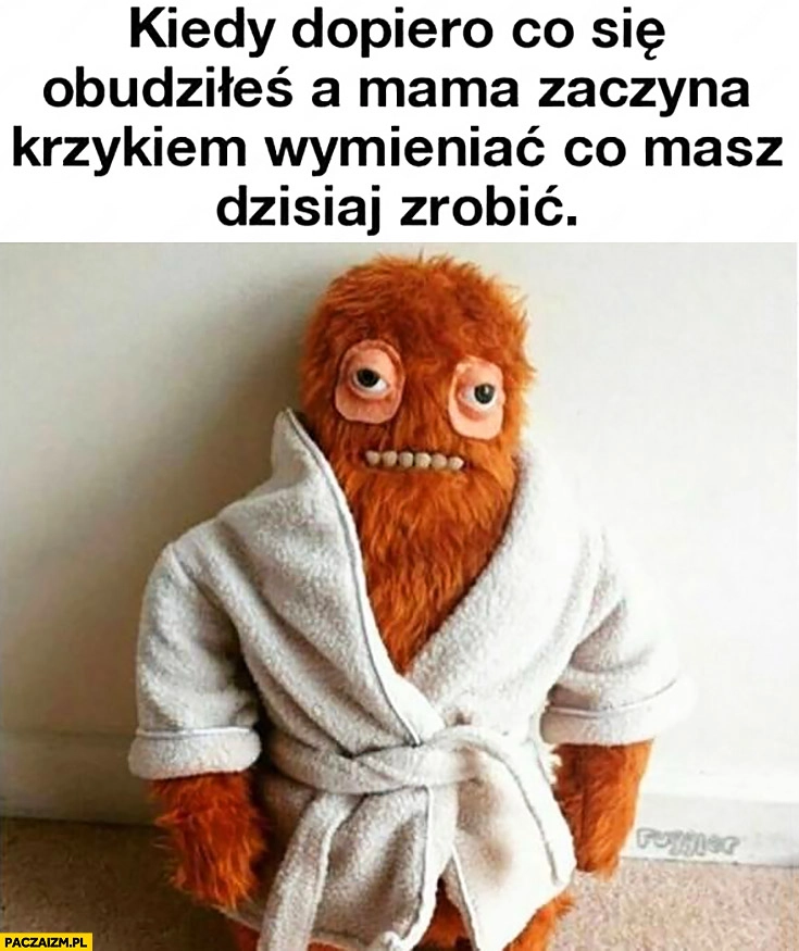 
    Kiedy dopiero co się obudziłeś a mama zaczyna krzykiem wymieniać co masz dzisiaj robić