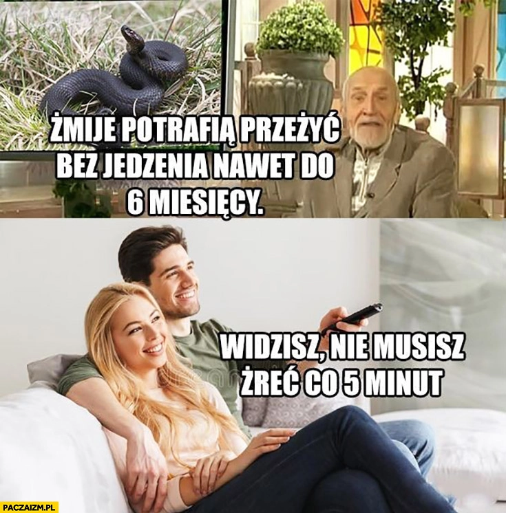 
    Żmije potrafią przeżyć bez jedzenia nawet do 6 miesięcy, widzisz nie musisz żreć co 5 minut