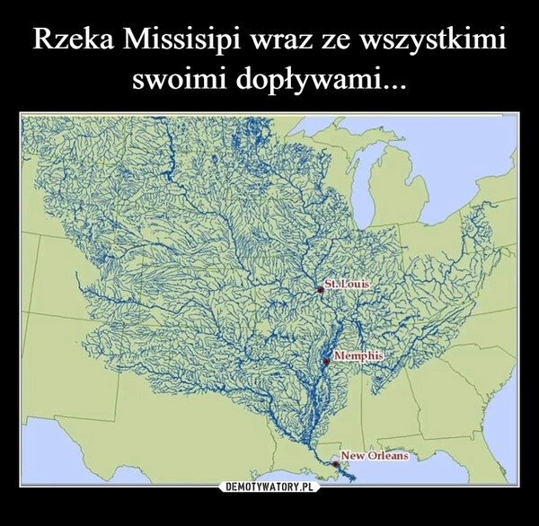 
    Rzeka Missisipi wraz ze wszystkimi swoimi dopływami...