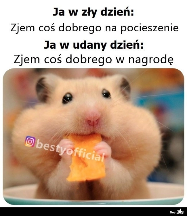 
    Powód zawsze się znajdzie 