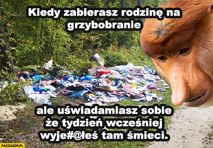 
    Kiedy zabierasz rodzinę na grzybobranie ale uświadamiasz sobie, że tydzień wcześniej wyrzuciłeś tam śmieci typowy Polak nosacz małpa