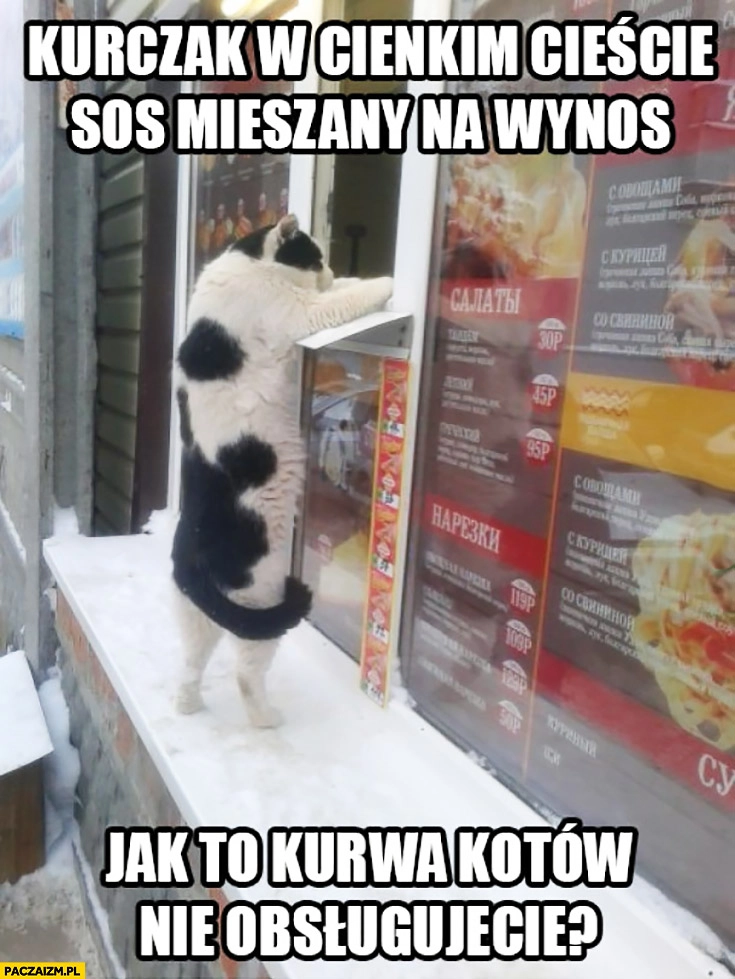 
    Kurczak w cienkim cieście, sos mieszany na wynos. Jak to kurna kotów nie obsługujecie? Kot zamawia kebab