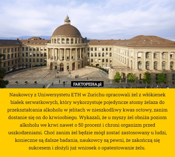 
    Naukowcy z Uniwersystetu ETH w Zurichu opracowali żel z włókienek białek