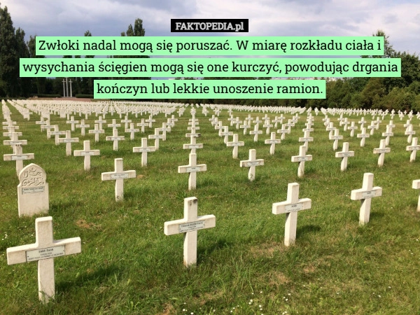 
    Zwłoki nadal mogą się poruszać. W miarę rozkładu ciała i wysychania ścięgien