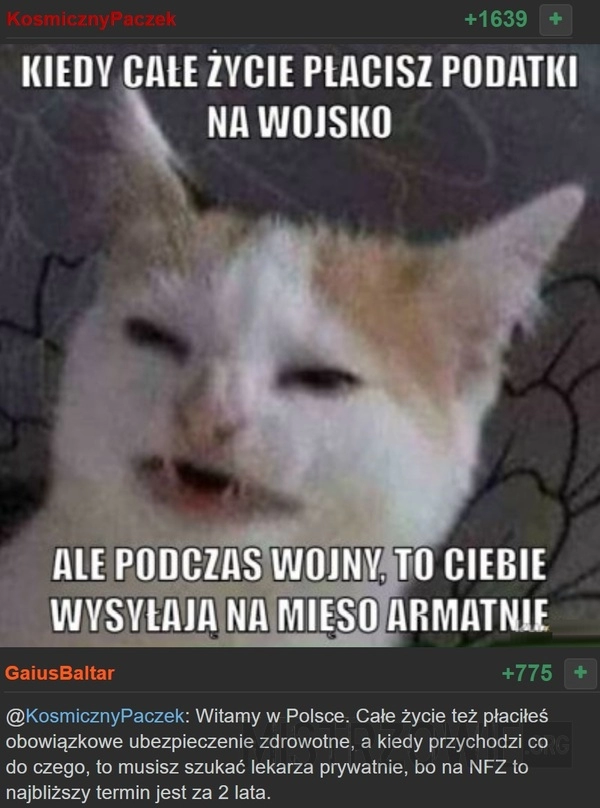 
    
			Wojsko					