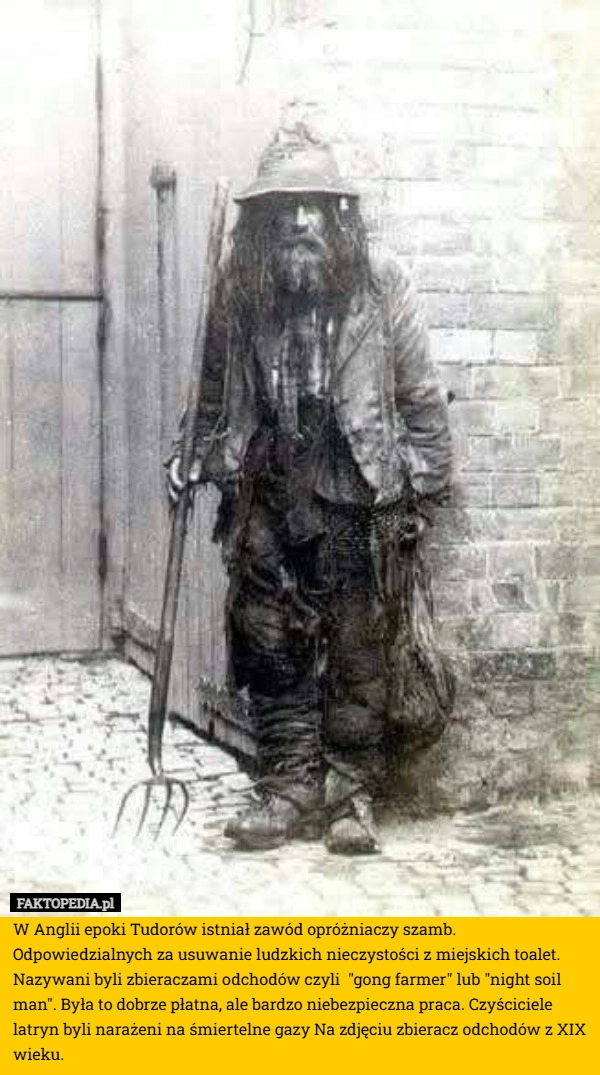 
    W Anglii epoki Tudorów istniał zawód opróżniaczy szamb. Odpowiedzialnych