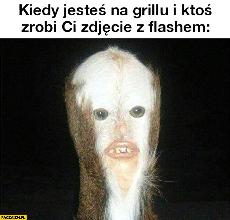 
    Kiedy jesteś na grillu i ktoś zrobi Ci zdjęcie z flashem