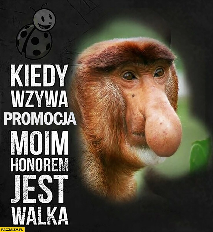 
    Kiedy wzywa promocja moim honorem jest walka typowy Polak nosacz małpa Biedronka
