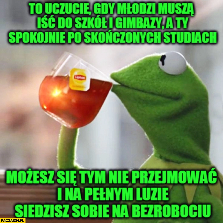 
    To uczucie gdy młodzi muszą iść do szkół i gimbazy a Ty spokojnie po spokojnych studiach siedzisz sobie na bezrobociu Kermit