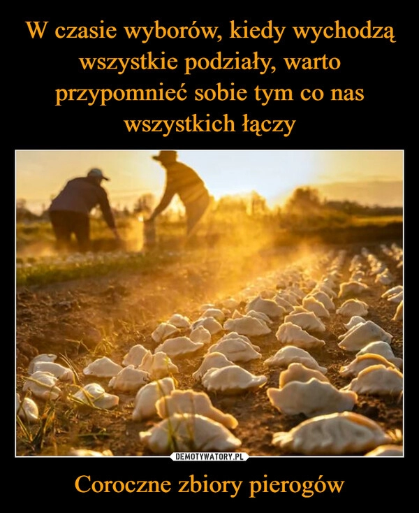 
    W czasie wyborów, kiedy wychodzą wszystkie podziały, warto przypomnieć sobie tym co nas wszystkich łączy Coroczne zbiory pierogów