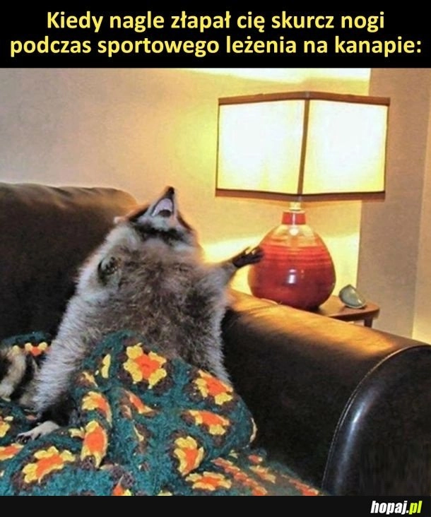 
    Świąteczne leżonko