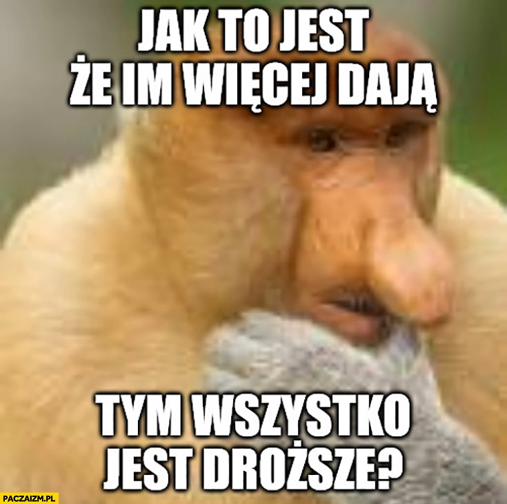 
    Jak to jest ze im więcej dają tym wszystko jest droższe małpa nosacz