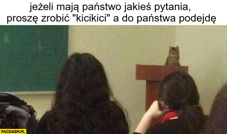 
    Kot jeżeli mają państwo jakieś pytania proszę zrobić kicikici a do państwa podejdę wykład