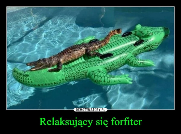 
    Relaksujący się forfiter