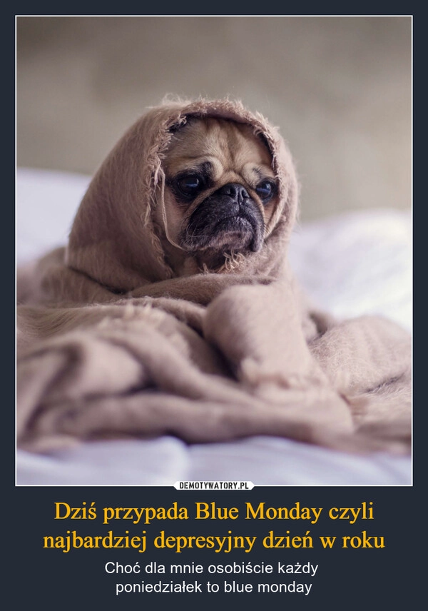 
    Dziś przypada Blue Monday czyli najbardziej depresyjny dzień w roku