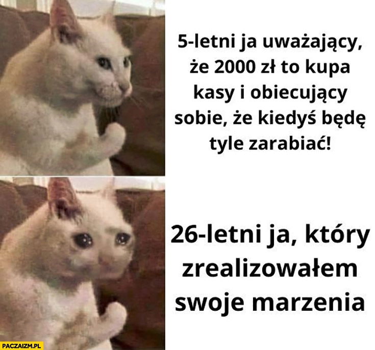 
    Kot 5 letni ja uważający, że 2000 zł to kupa kasy i obiecujący sobie, że kiedyś będę tyle zarabiać, 26 letni ja który zrealizowałem swoje marzenia