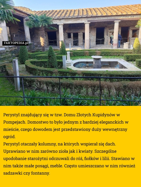 
    Perystyl znajdujący się w tzw. Domu Złotych Kupidynów w Pompejach.