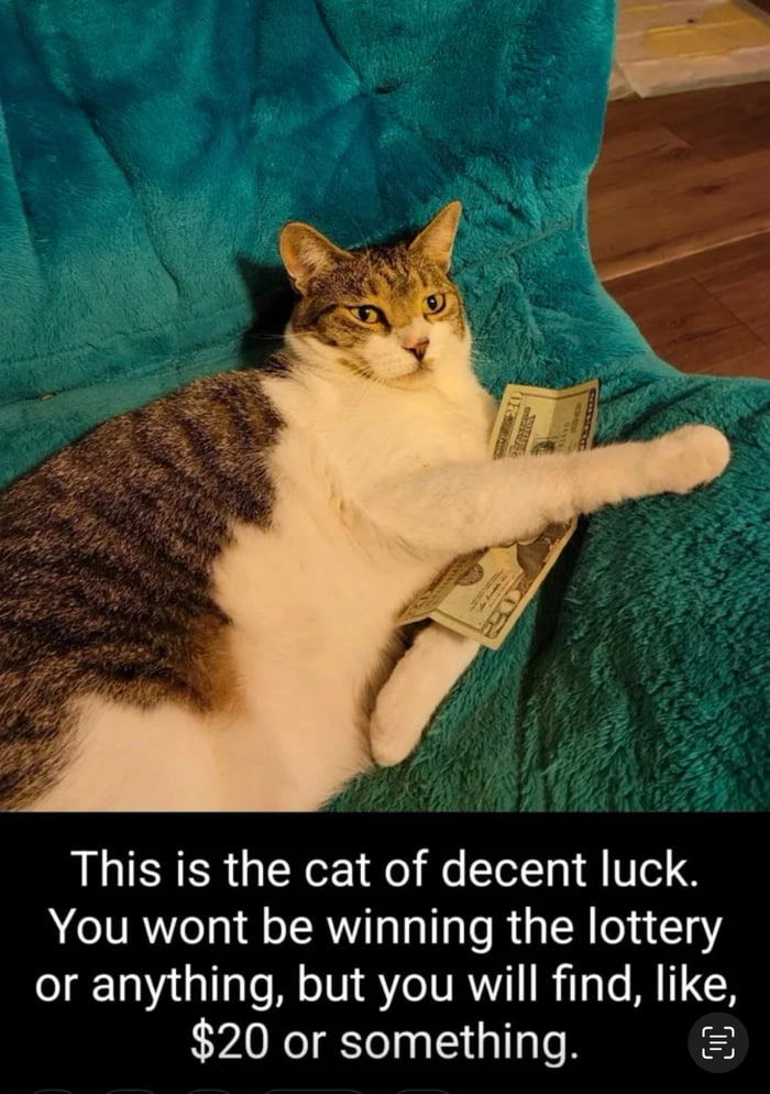 
    You can thank me later. Or not