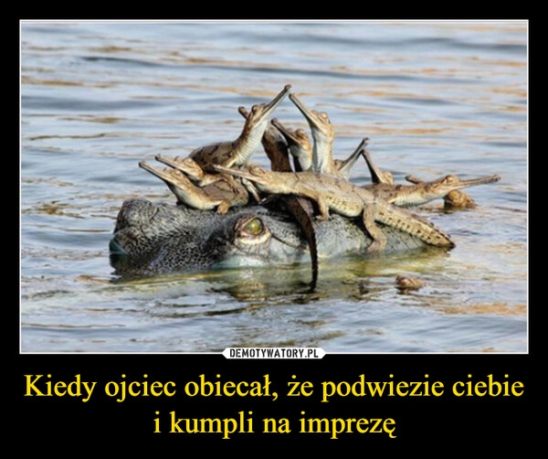 
    Kiedy ojciec obiecał, że podwiezie ciebie i kumpli na imprezę