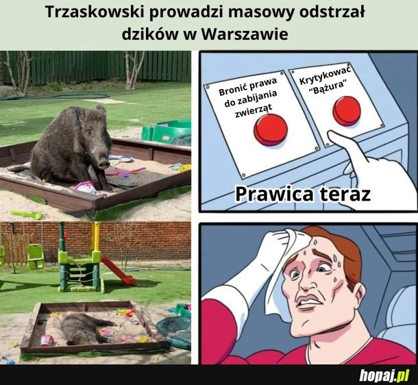 
    Trudne się wylosowało.