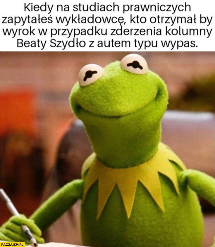
    Kermit kiedy na studiach prawniczych zapytałeś wykładowcę kto by otrzymał wyrok w zderzeniu kolumny Beaty Szydło z autem typu wypas