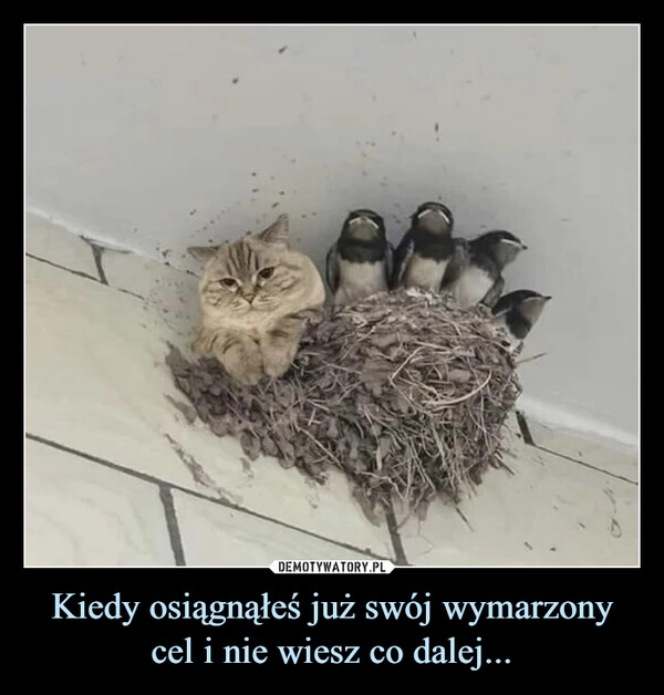 
    Kiedy osiągnąłeś już swój wymarzony cel i nie wiesz co dalej...