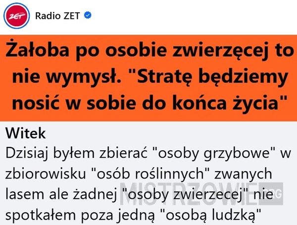 
    Żałoba