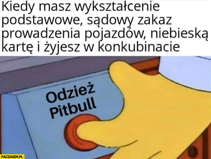 
    Kiedy masz wykształcenie podstawowe, sądowy zakaz prowadzenia pojazdów, niebieską kartę i żyjesz w konkubinacie przycisk odzież Pitbull