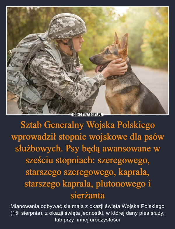 
    Sztab Generalny Wojska Polskiego wprowadził stopnie wojskowe dla psów służbowych. Psy będą awansowane w sześciu stopniach: szeregowego, starszego szeregowego, kaprala, starszego kaprala, plutonowego i sierżanta