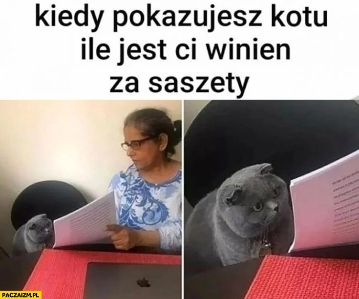
    Kiedy pokazujesz kotu ile jest Ci winien za saszety rachunek