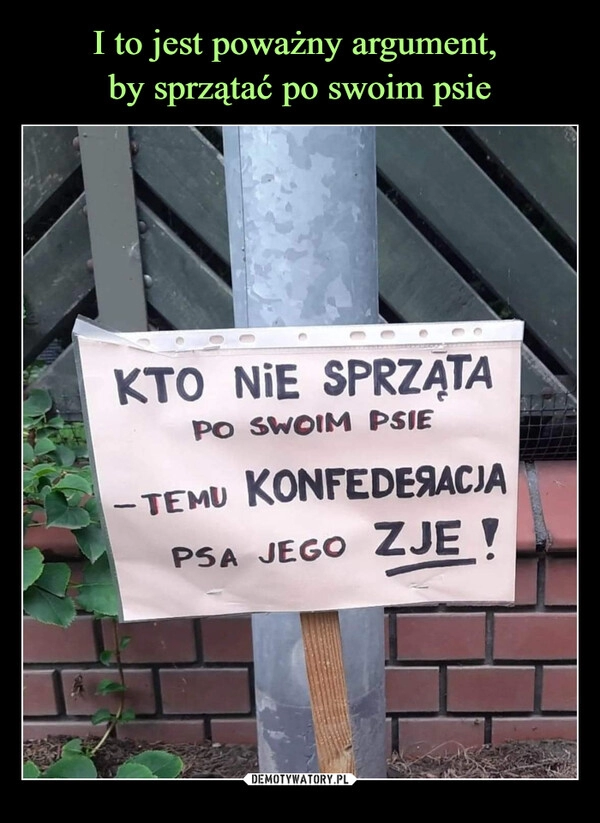 
    I to jest poważny argument, 
by sprzątać po swoim psie