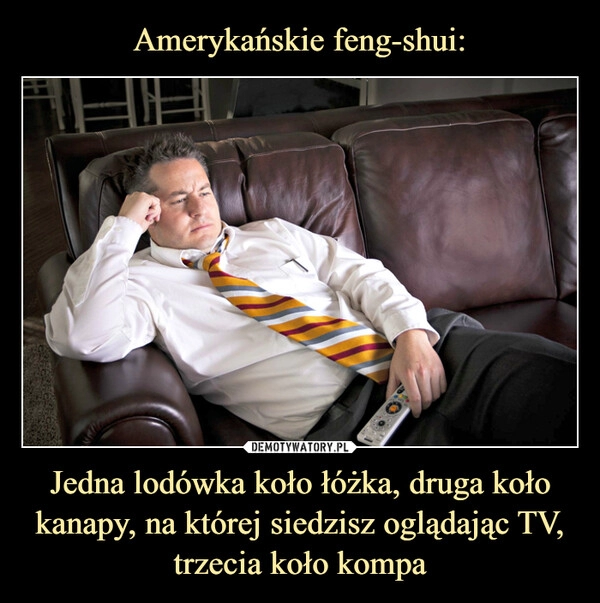 
    Amerykańskie feng-shui: Jedna lodówka koło łóżka, druga koło kanapy, na której siedzisz oglądając TV, trzecia koło kompa