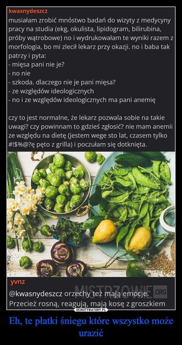 
    Eh, te płatki śniegu które wszystko może urazić