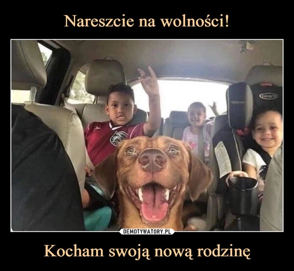 
    Nareszcie na wolności! Kocham swoją nową rodzinę