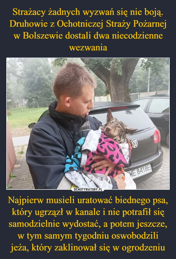 
    Strażacy żadnych wyzwań się nie boją. Druhowie z Ochotniczej Straży Pożarnej w Bolszewie dostali dwa niecodzienne wezwania Najpierw musieli uratować biednego psa, który ugrzązł w kanale i nie potrafił się samodzielnie wydostać, a potem jeszcze, w tym samym tygodniu oswobodzili jeża, który zaklinował się w ogrodzeniu