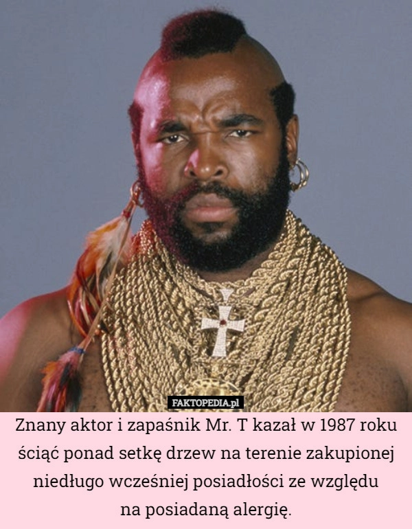 
    Znany aktor i zapaśnik Mr. T kazał w 1987 roku ściąć ponad setkę drzew na