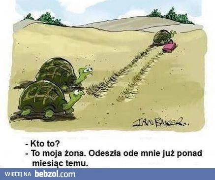 
    Żona odeszła