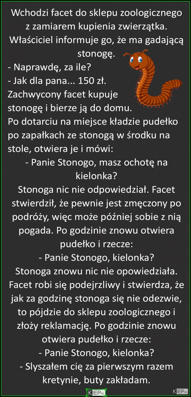 
    Wchodzi facet do sklepu zoologicznego z zamiarem kupienia zwierzątka...