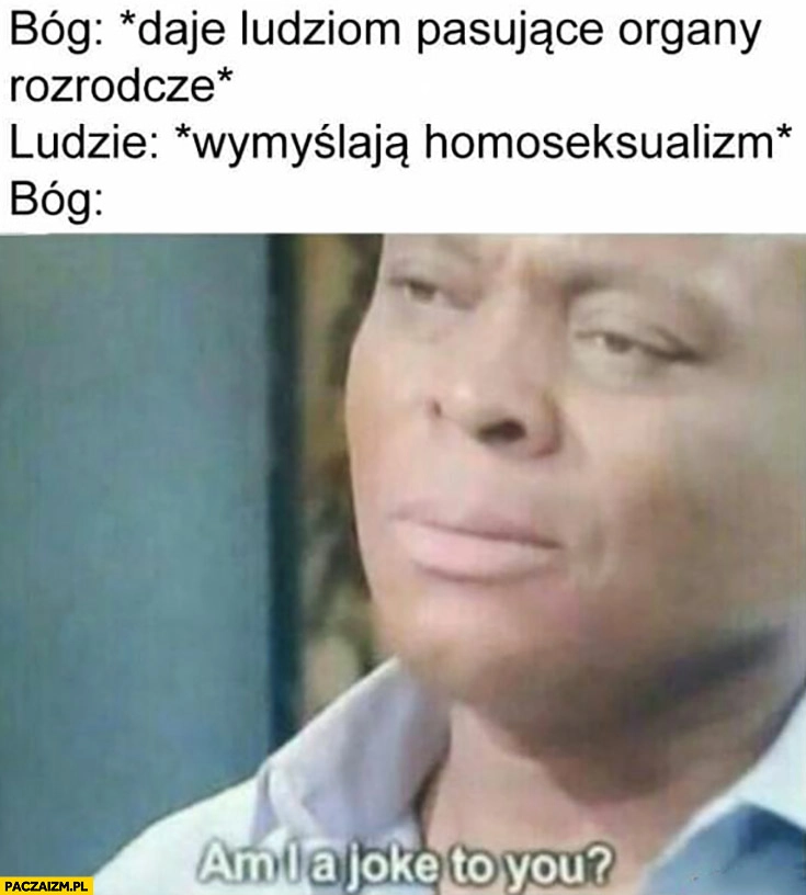 
    Bóg daje ludziom pasujące organy rozrodcze, ludzie wymyślają homoseksualizm. Bóg: jestem dla was jakimś żartem?