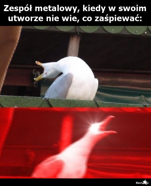 
    Czas się podrzeć 