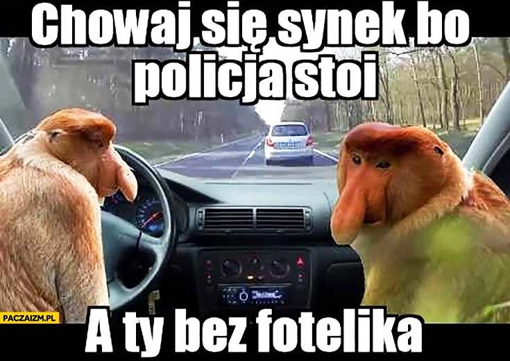 
    Chowaj się synek bo policja stoi a Ty bez fotelika typowy Polak nosacz małpa