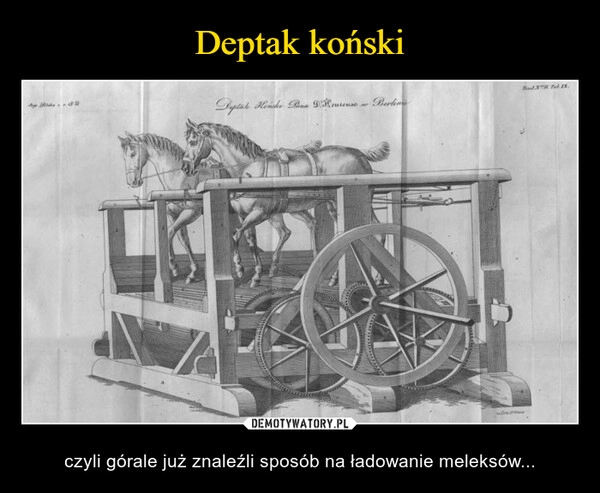 
    Deptak koński