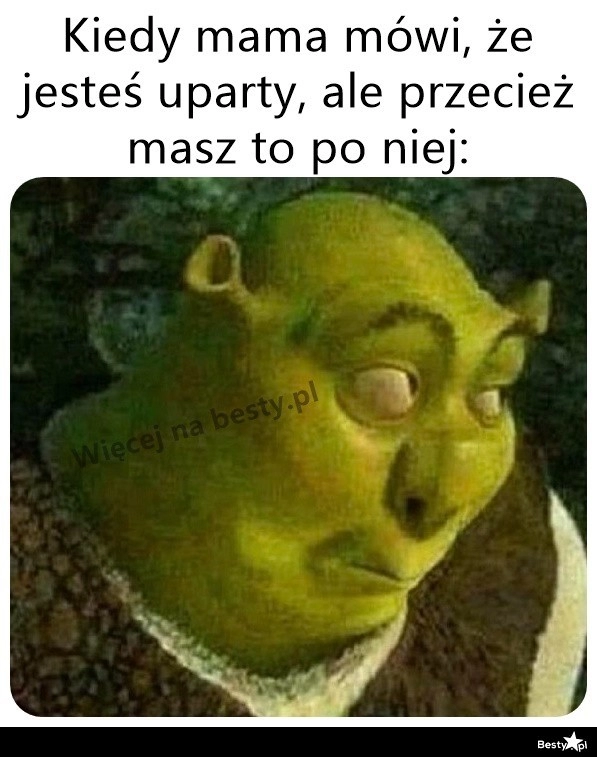 
    Po kimś to mam 