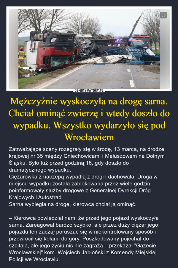 
    Mężczyźnie wyskoczyła na drogę sarna. Chciał ominąć zwierzę i wtedy doszło do wypadku. Wszystko wydarzyło się pod Wrocławiem