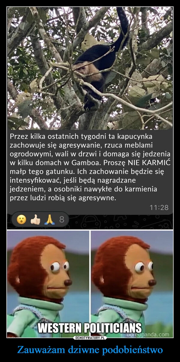 
    Zauważam dziwne podobieństwo