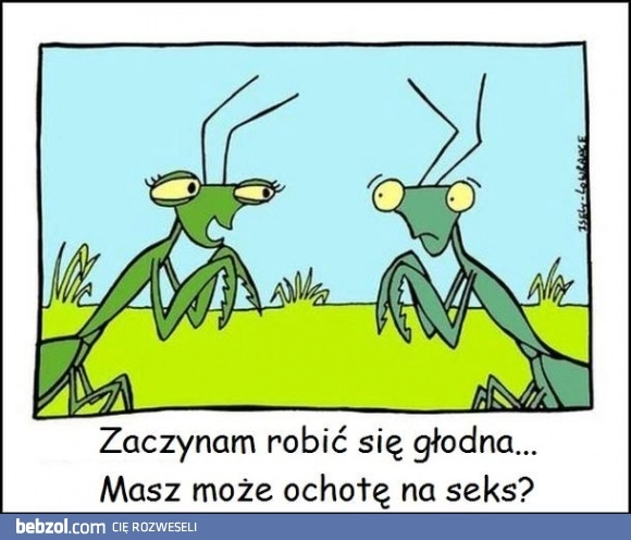 Propozycja z drugim dnem