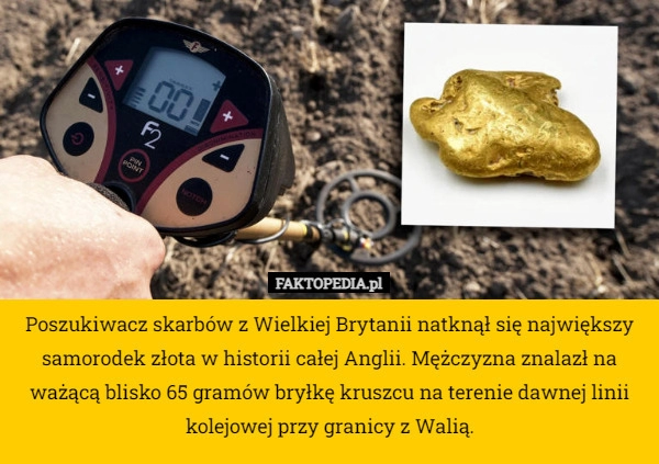 
    Poszukiwacz skarbów z Wielkiej Brytanii natknął się największy samorodek