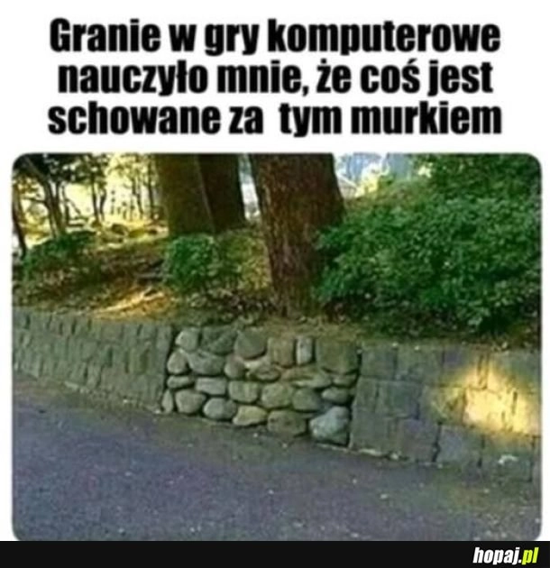 
    Gry