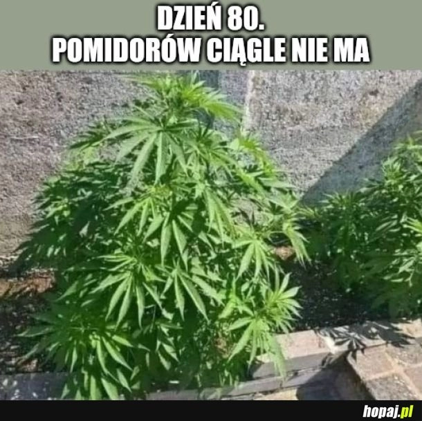 
    Co robię nie tak?