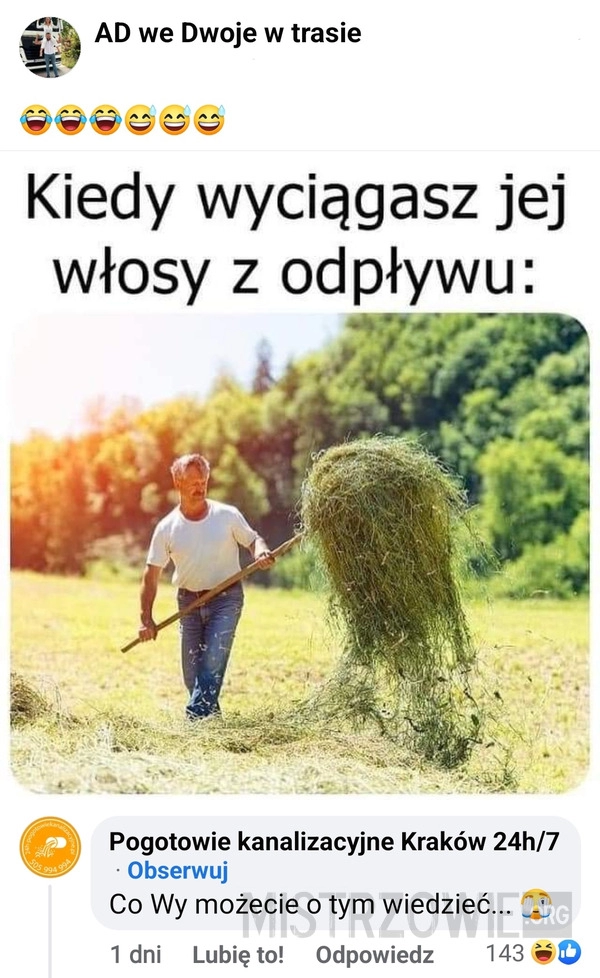 
    Kłaki